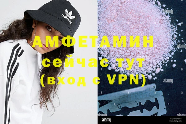 прущие грибы Баксан