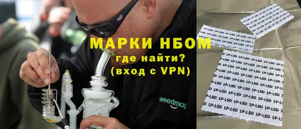 прущие грибы Баксан
